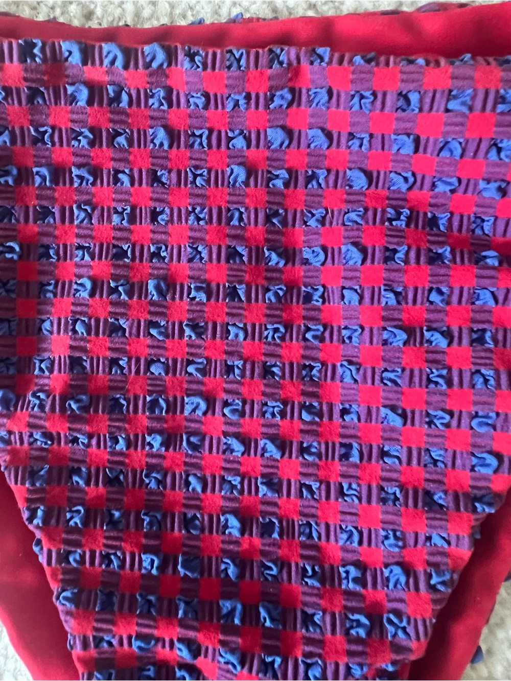 Red & Blue Patterned Bikini Set - Picture 3 of 4